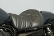 2021 Harley-Davidson Sportster Iron 883 Only 49 Miles! - 22659311 - 39