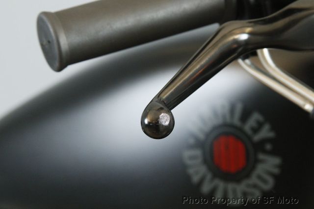 2021 Harley-Davidson Sportster Iron 883 On Sale Now! - 22792943 - 49