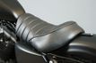 2021 Harley-Davidson Sportster Iron 883 On Sale Now! - 22874005 - 43