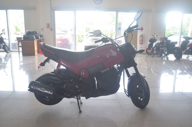 2021 Honda Navi 110  - 21274509 - 2