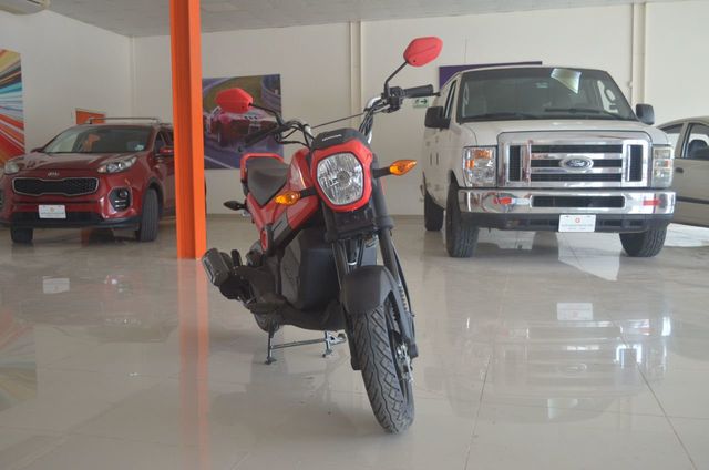2021 Honda Navi 110  - 21274514 - 3