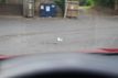 2021 Hyundai Sonata Limited 1.6T - 23014170 - 41