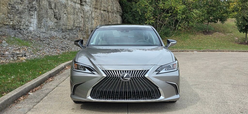 2021 Lexus ES ES 250 AWD - 22937460 - 5