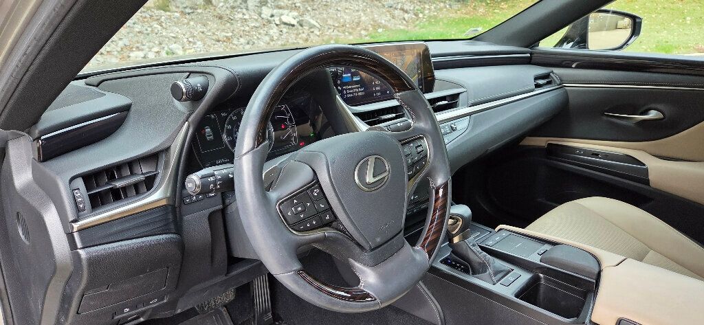 2021 Lexus ES ES 250 AWD - 22937460 - 8