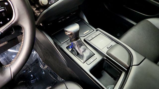 2021 Lexus ES ES 250 AWD - 23099005 - 17
