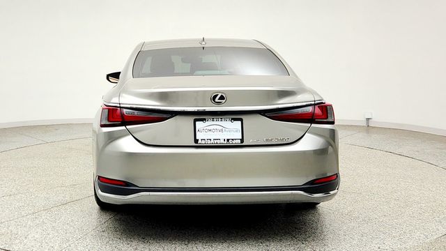 2021 Lexus ES ES 250 AWD - 23099005 - 5