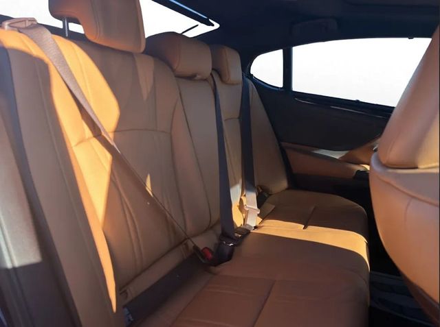 2021 Lexus ES ES 350 Ultra Luxury FWD - 22966438 - 17