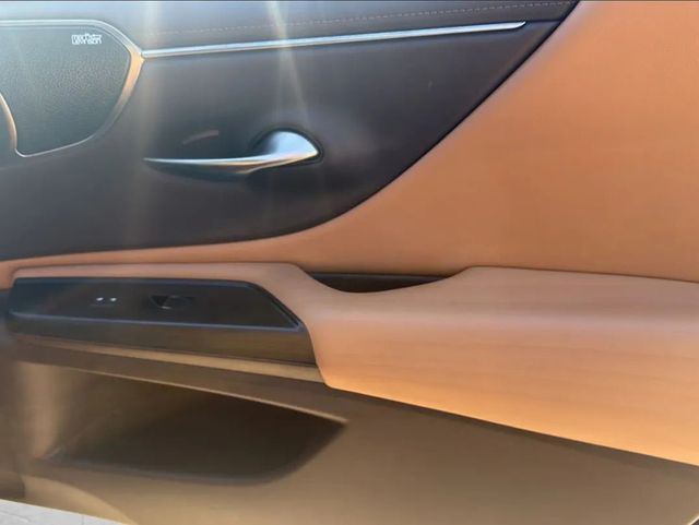 2021 Lexus ES ES 350 Ultra Luxury FWD - 22966438 - 20