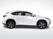 2021 Lexus NX 300 Base - 22985836 - 5