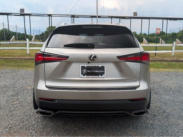 2021 Lexus NX NX 300 AWD - 23071245 - 5