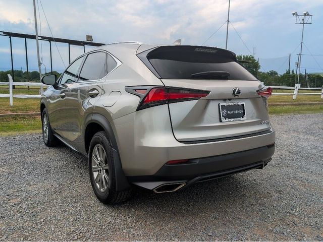 2021 Lexus NX NX 300 AWD - 23071245 - 7
