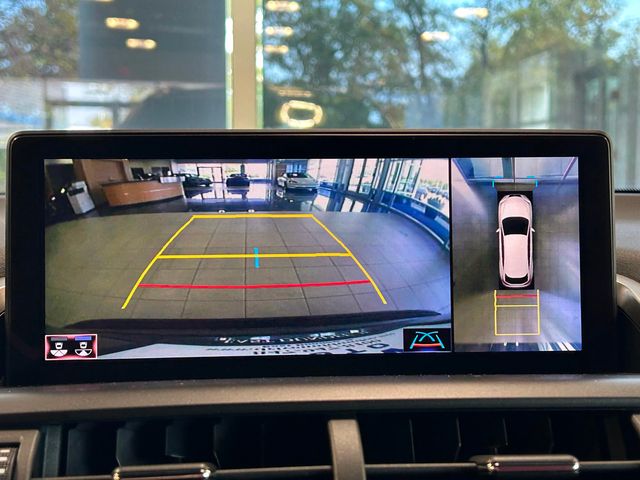 2021 Lexus NX NX 300 F SPORT FWD - 22914925 - 30