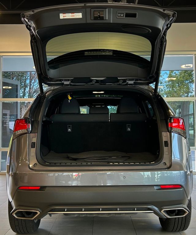 2021 Lexus NX NX 300 F SPORT FWD - 22914925 - 34