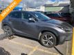 2021 Lexus NX NX 300h Luxury AWD - 22782009 - 0