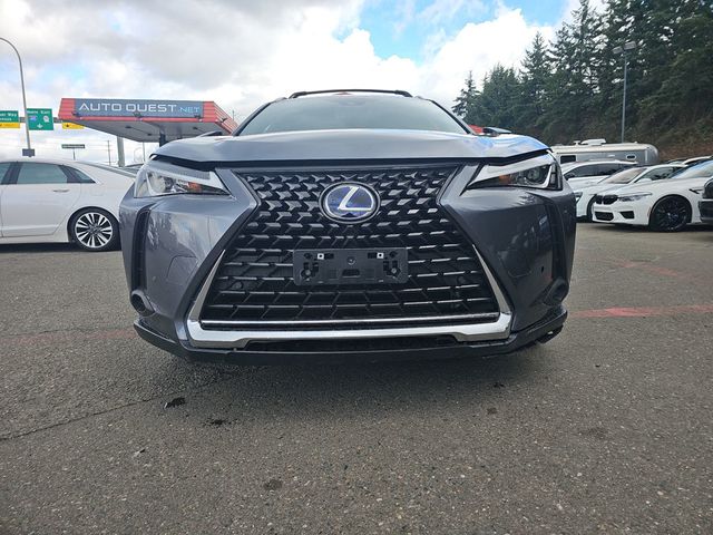 2021 Lexus UX UX 250h AWD - 22981151 - 19