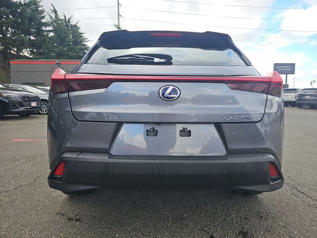 2021 Lexus UX UX 250h AWD - 22981151 - 22