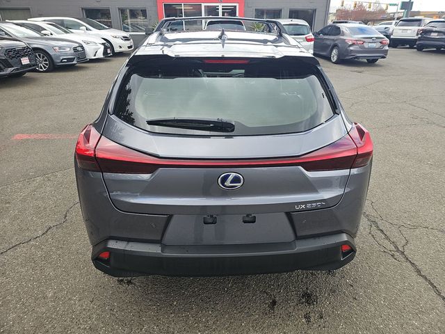 2021 Lexus UX UX 250h AWD - 22981151 - 23