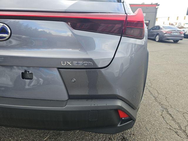 2021 Lexus UX UX 250h AWD - 22981151 - 24