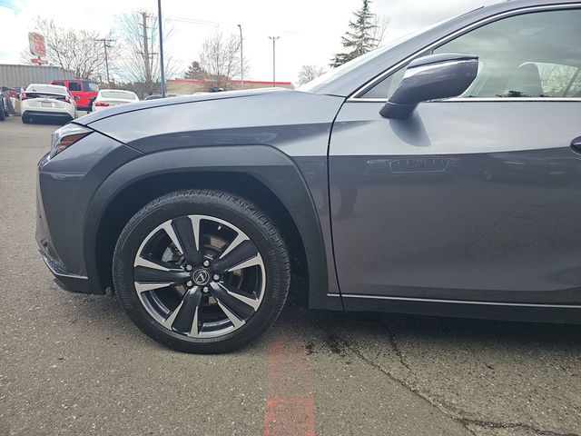 2021 Lexus UX UX 250h AWD - 22981151 - 25