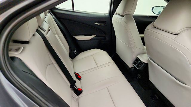 2021 Lexus UX UX 250h AWD - 23081745 - 20