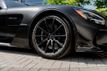 2021 Mercedes-Benz AMG GT AMG GT Black Series Coupe - 22507813 - 25