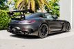 2021 Mercedes-Benz AMG GT AMG GT Black Series Coupe - 22507813 - 6