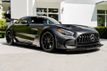 2021 Mercedes-Benz AMG GT AMG GT Black Series Coupe - 22507813 - 74