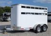 2021 Shadow 2 Horse Slant StableLite  - 23082306 - 1