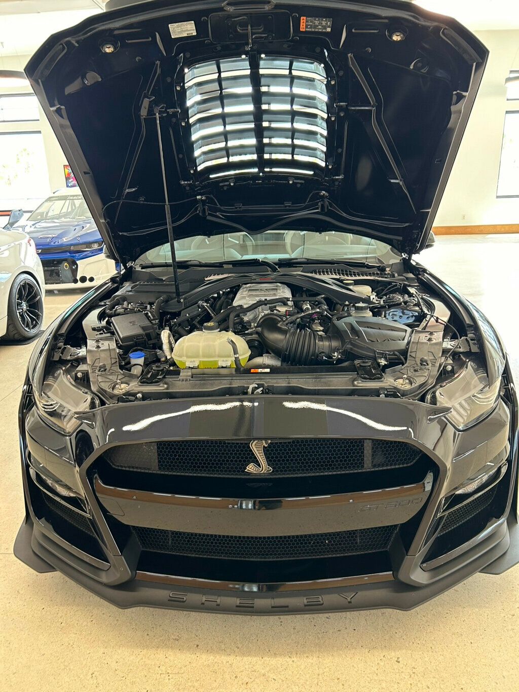 2021 Shelby GT 500  - 23024340 - 22