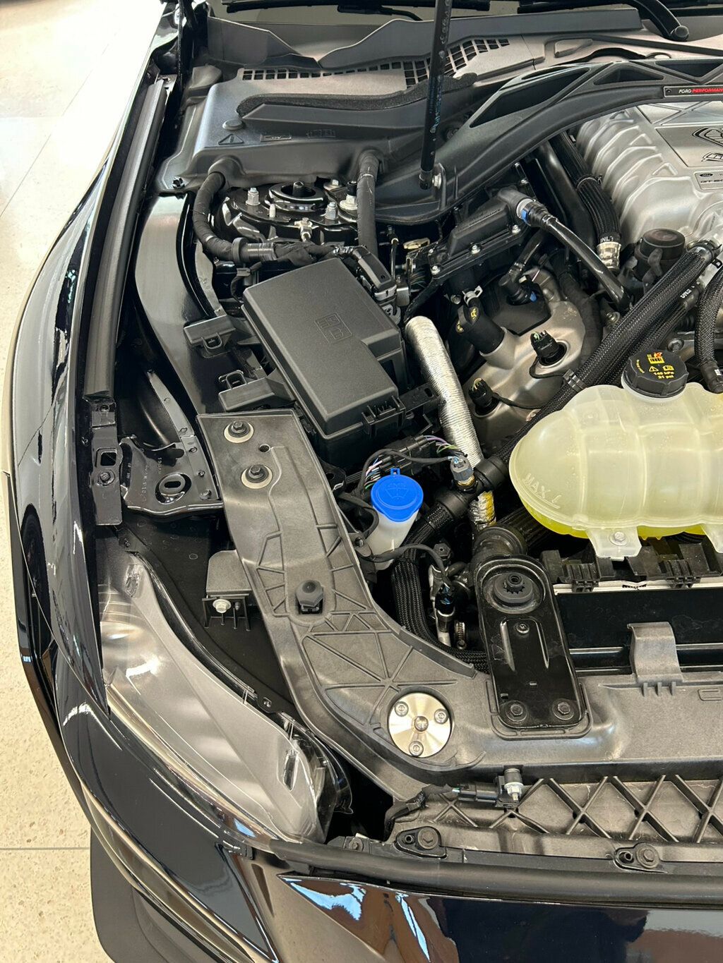 2021 Shelby GT 500  - 23024340 - 23