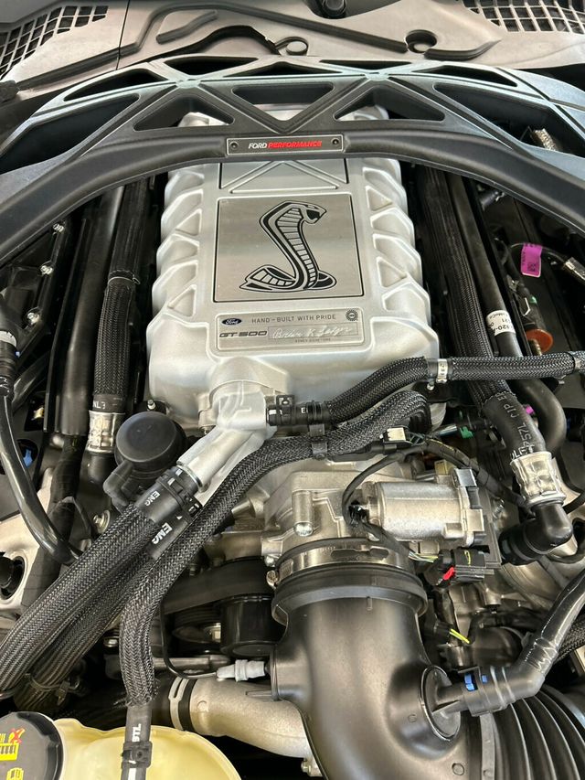 2021 Shelby GT 500  - 23024340 - 24
