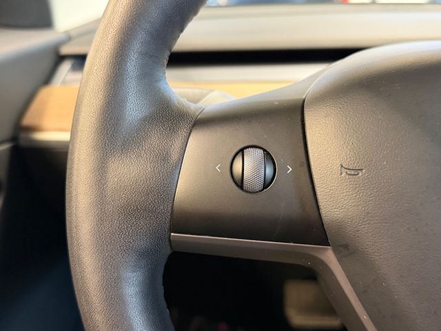 2021 Tesla Model 3 Standard Range Plus RWD - 23099059 - 24