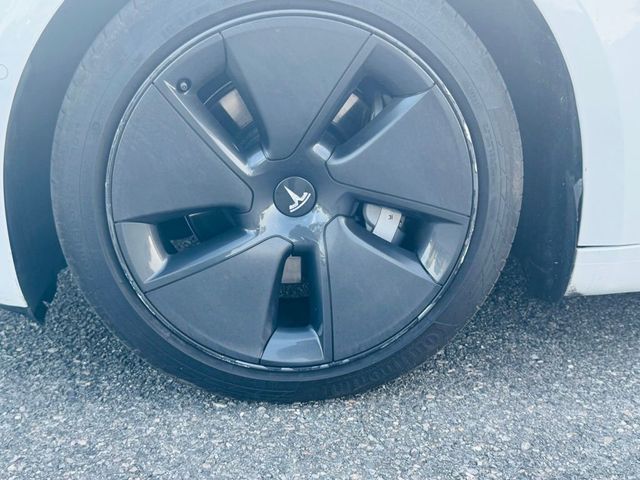 2021 Tesla Model 3 Standard Range Plus RWD - 23031761 - 19