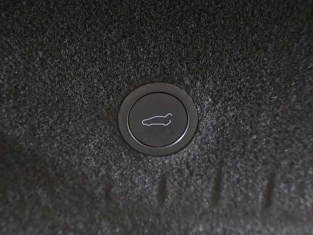 2021 Tesla Model S Plaid AWD - 22955136 - 20