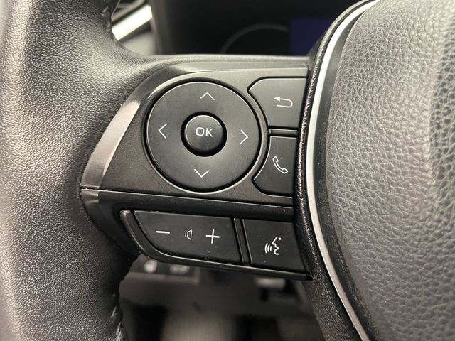 2021 Toyota RAV4 Limited AWD - 22946627 - 21