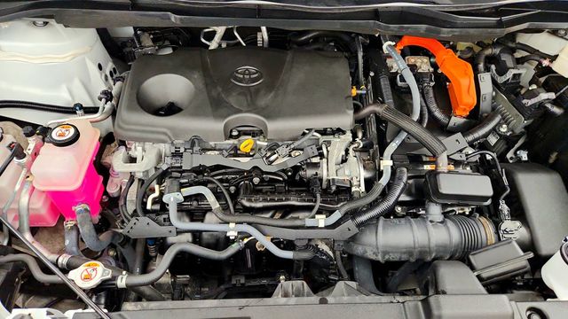 2021 Toyota Sienna Platinum AWD 7-Seater - 23091681 - 27