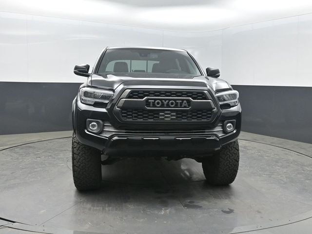 2021 Toyota Tacoma 2WD Limited Double Cab 5' Bed V6 Automatic - 23016061 - 36