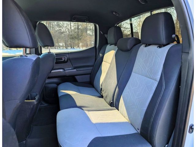 2021 Toyota Tacoma 4WD TRD Off Road Double Cab 5' Bed V6 Automatic - 22973489 - 13