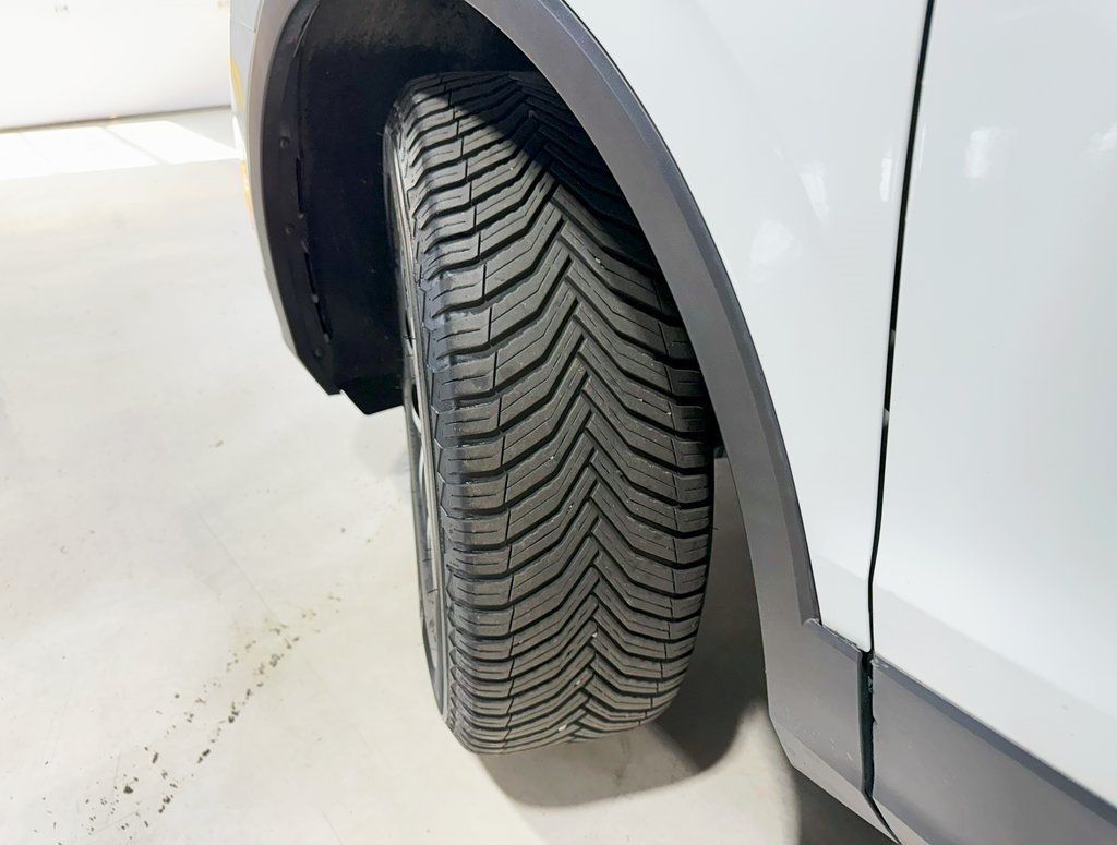 2021 Volkswagen Tiguan 2.0T SE - 22928403 - 2