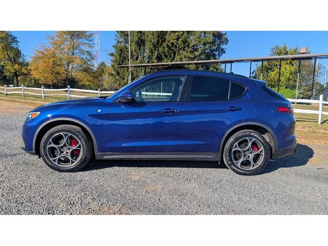 2022 Alfa Romeo Stelvio Ti - 22925057 - 3