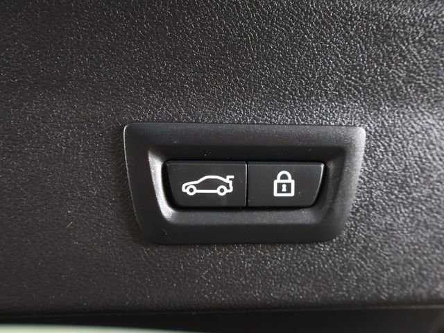 2022 BMW X4 xDrive30i Sports Activity - 23024231 - 21