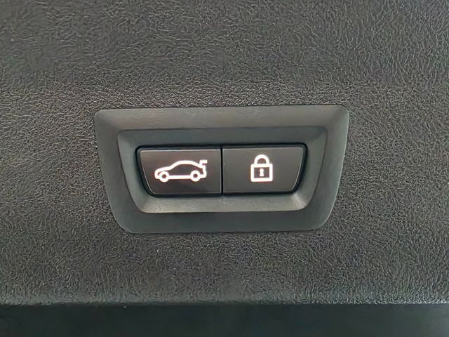 2022 BMW X4 xDrive30i Sports Activity - 22953585 - 59