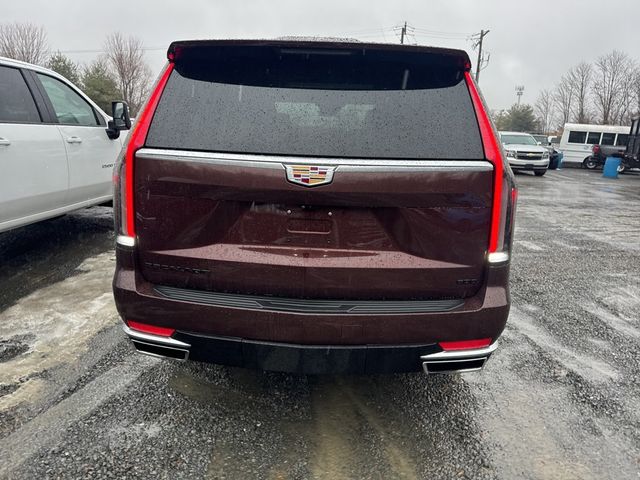 2022 Cadillac Escalade 4WD 4dr Premium Luxury - 22761724 - 4