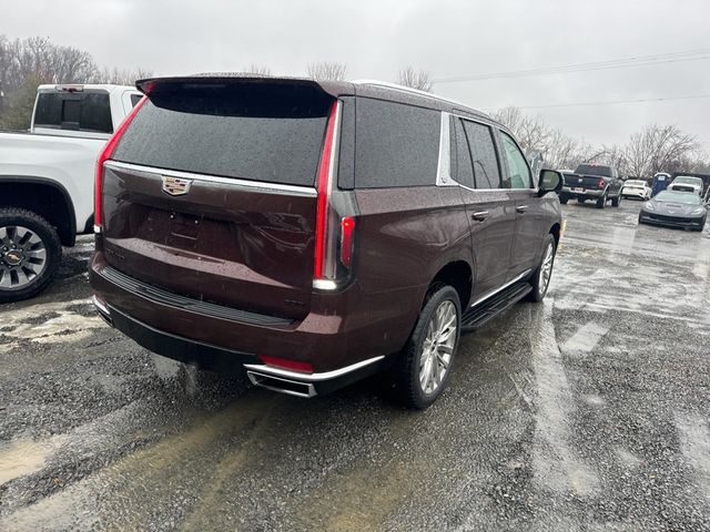 2022 Cadillac Escalade 4WD 4dr Premium Luxury - 22761724 - 5