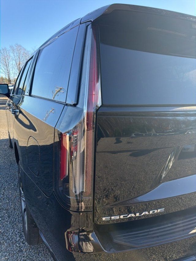 2022 Cadillac Escalade 4WD 4dr Sport Platinum - 22941210 - 10