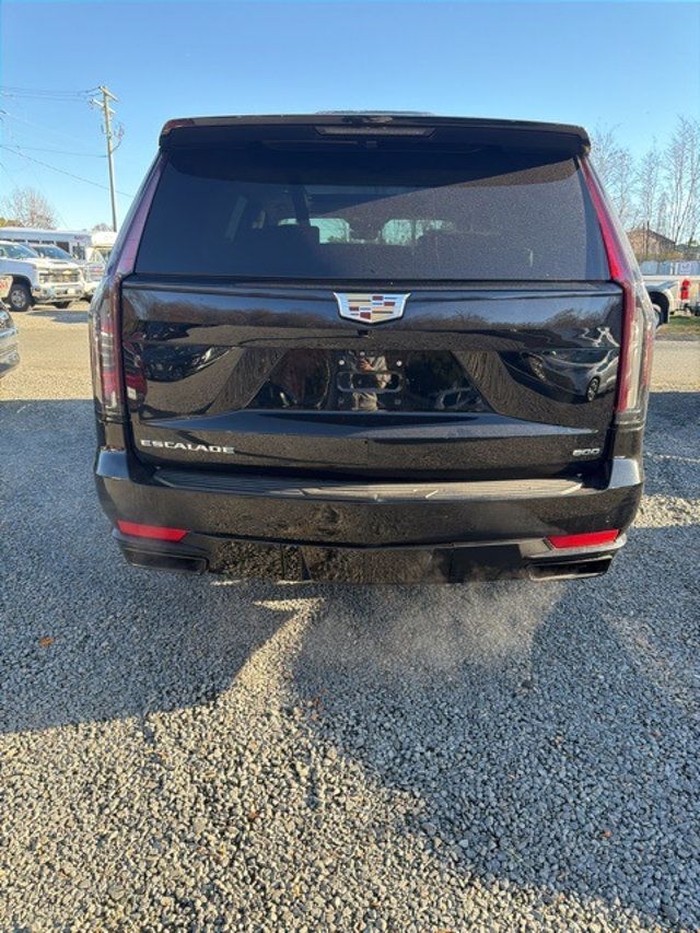 2022 Cadillac Escalade 4WD 4dr Sport Platinum - 22941210 - 4