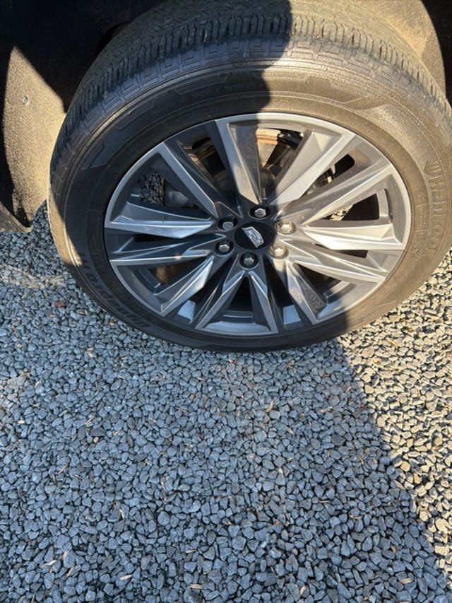 2022 Cadillac Escalade 4WD 4dr Sport Platinum - 22941210 - 6