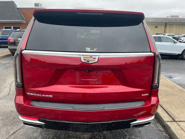 2022 Cadillac Escalade ESV 4WD 4dr Premium Luxury - 22946315 - 5