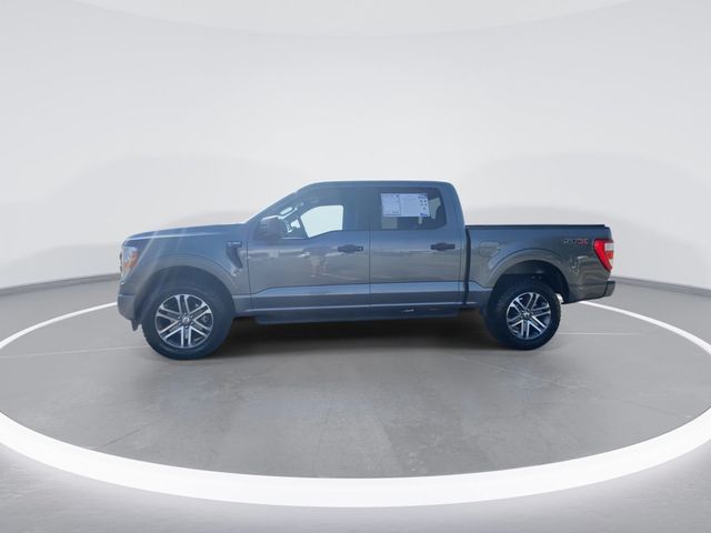 2022 Ford F-150  - 22628918 - 4