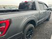 2022 Ford F-150 Platinum 4WD SuperCrew,GROUP 701A HIGH,MAX TRAILER TOW,PANORAMA, - 22997674 - 3